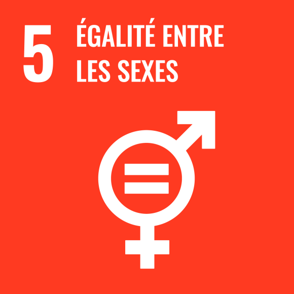 5. Égalité entre les sexes 5. Égalité entre les sexes