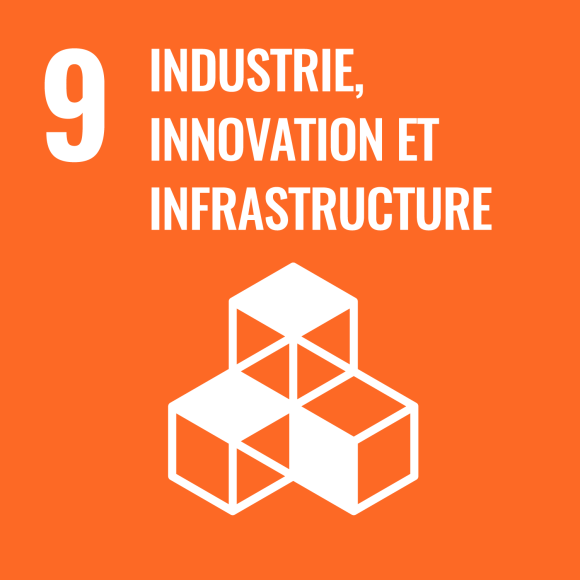 9. Industrie, innovation et infrastructure 9. Industrie, innovation et infrastructure
