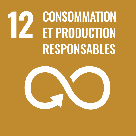 12. Consommation et production responsables 12. Consommation et production responsables