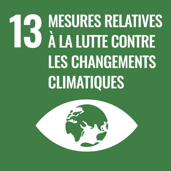 13. Mesures relatives à la lutte contre les changements climatiques 13. Mesures relatives à la lutte contre les changements climatiques