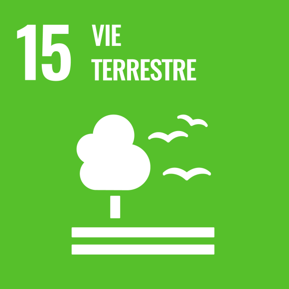 15. Vie terrestre 15. Vie terrestre