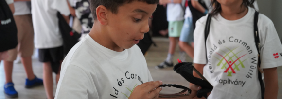 Carmen és Reinhold Würth Alapítvány