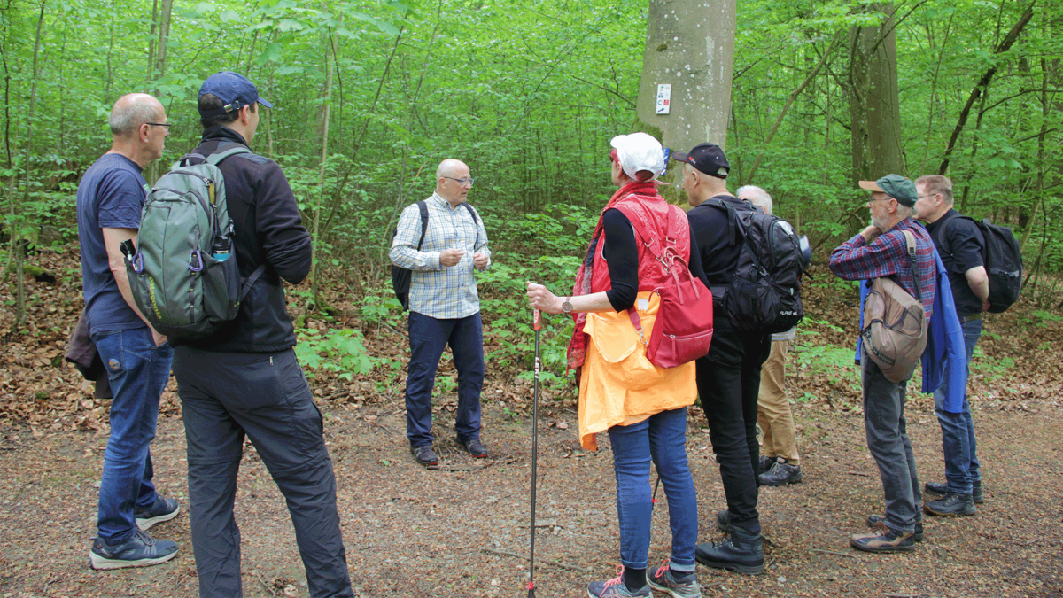 Wandertag 2024